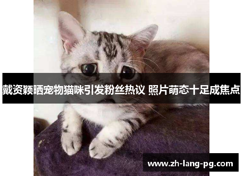 戴资颖晒宠物猫咪引发粉丝热议 照片萌态十足成焦点 戴资颖晒宠物猫咪引发粉丝热议 照片萌态十足成焦点