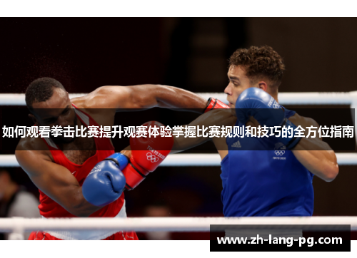 如何观看拳击比赛提升观赛体验掌握比赛规则和技巧的全方位指南