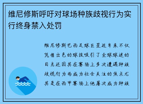 维尼修斯呼吁对球场种族歧视行为实行终身禁入处罚